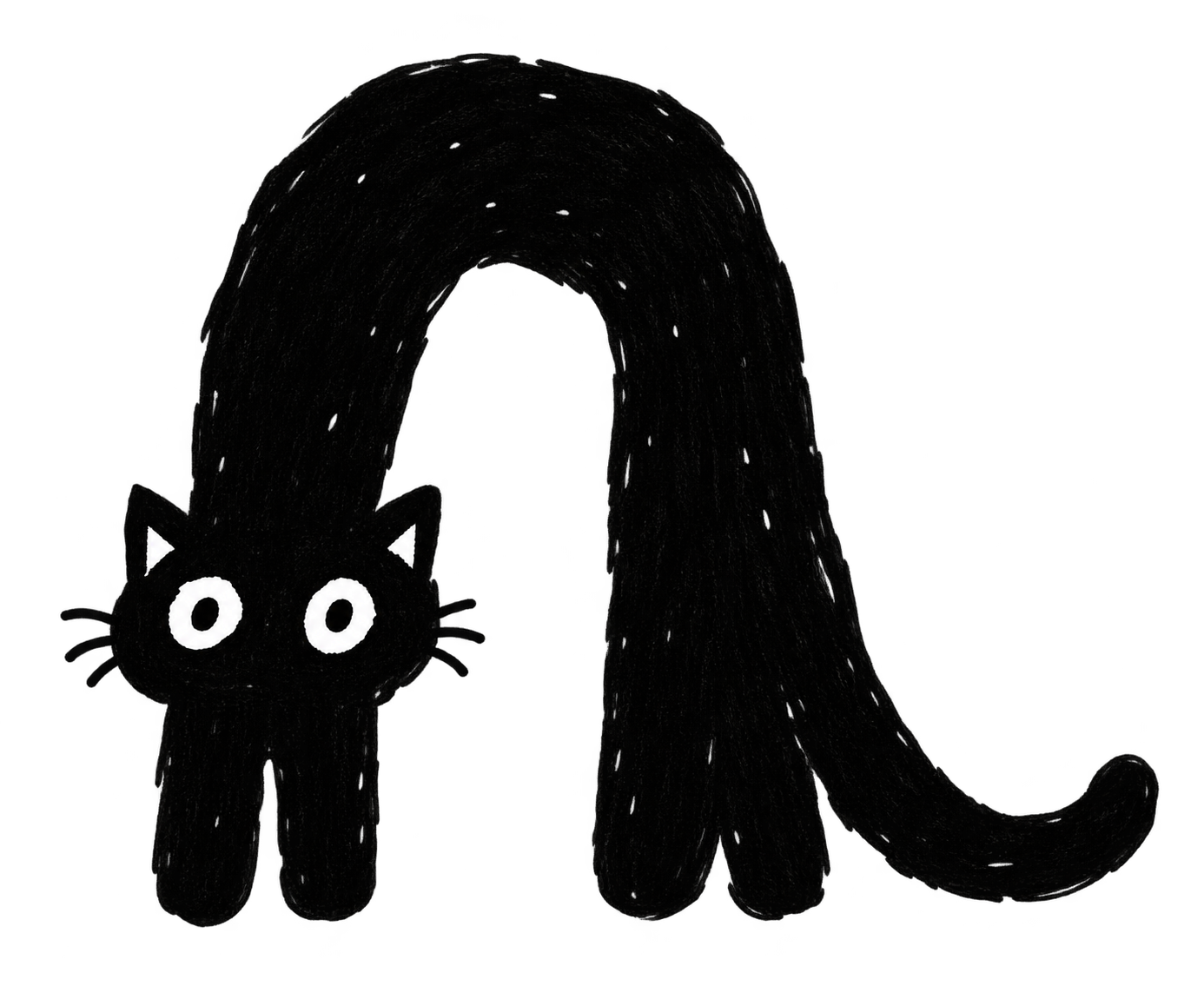Cato, a wide-eyed black doodle cat with a long body arched like an upside-down U.